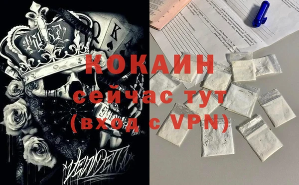 гидра Алексин