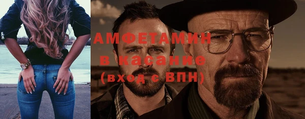 индика Абаза