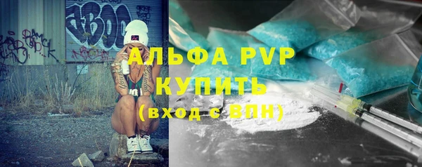 индика Абаза