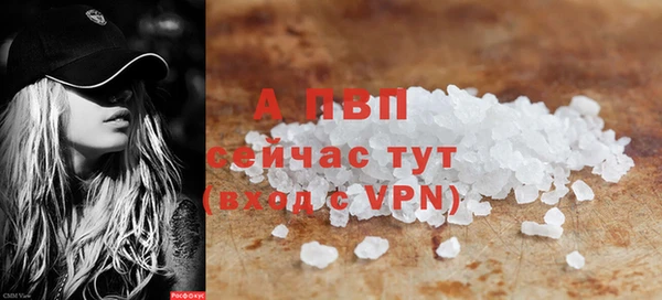 индика Абаза