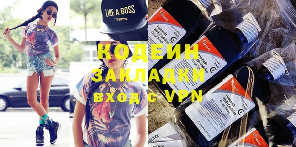 индика Абаза