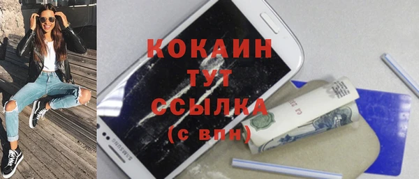 индика Абаза