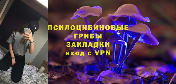 индика Абаза